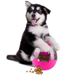 Treat Ball Dog Toy for Pet Increases IQ Interactive Food Dispensing Ball
