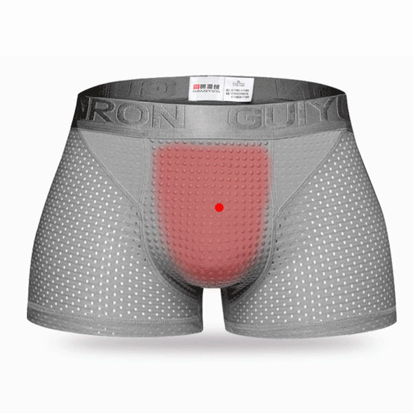 Sexy Ice Silk Mesh Breathable Magnetotherapy Healthcare Boxer For Men